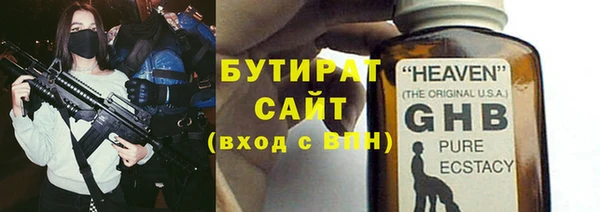 сатива Нестеровская