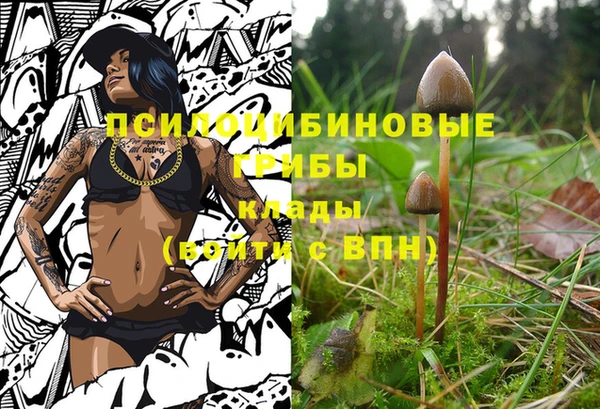 спайс Липки