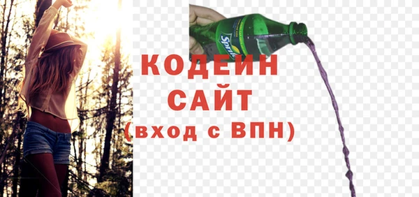сатива Нестеровская